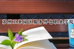 2024苏州工业园区服务外包职业学院录取分数线：江苏最低406分