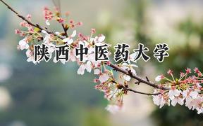 2024陕西中医药大学录取分数线：山西最低538分