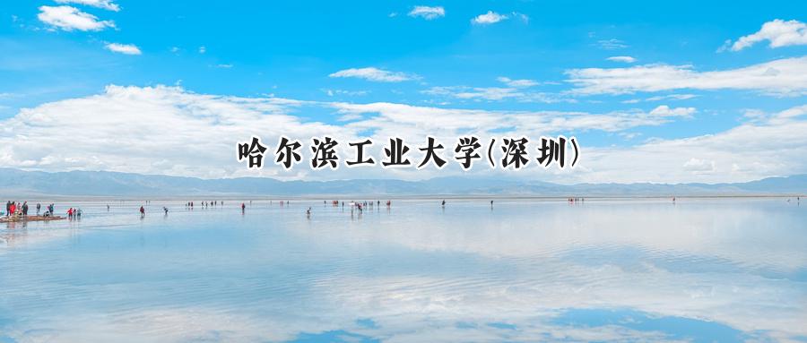 哈尔滨工业大学(深圳)