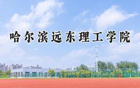 2024哈尔滨远东理工学院录取分数线：天津最低444分