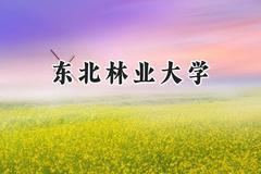 东北林业大学2024在内蒙古录取分数线是多少？最低505分/最高586分