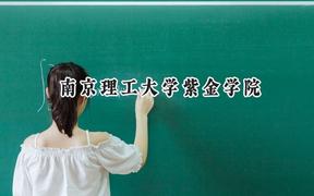南京理工大学紫金学院2024在重庆录取分数线是多少？最低469分/最高594分