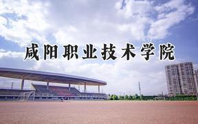 2024咸阳职业技术学院录取分数线：青海最低249分