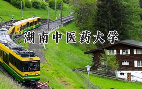 湖南中医药大学2024在天津录取分数线是多少？最低533分/最高610分