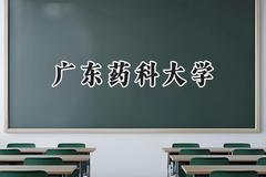 2024广东药科大学录取分数线：天津最低539分