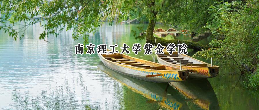 南京理工大学紫金学院