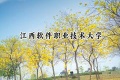 2024江西软件职业技术大学录取分数线：宁夏最低244分