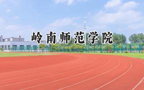 嶺南師范學院2024在重慶錄取分數線是多少？最低490分/最高525分