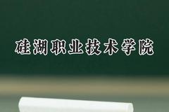 硅湖职业技术学院2024在浙江录取分数线是多少？最低364分/最高496分