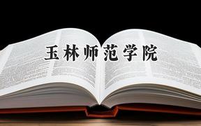 玉林师范学院2024在天津录取分数线是多少？最低494分/最高532分
