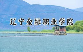 2024辽宁金融职业学院录取分数线：山西最低256分