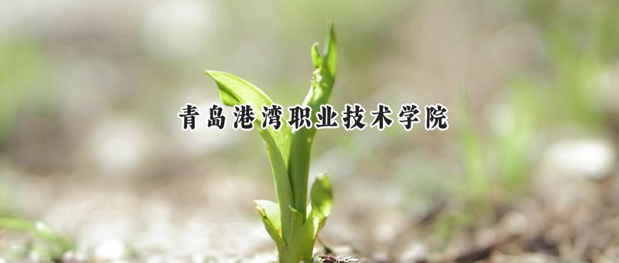 青岛港湾职业技术学院