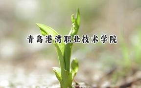 2024青岛港湾职业技术学院录取分数线：天津最低238分