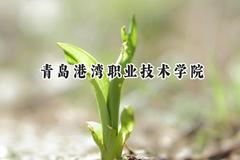 2024青岛港湾职业技术学院录取分数线：天津最低238分