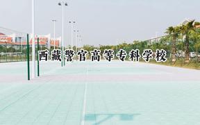 西藏警官高等專科學校2024在重慶錄取分數(shù)線是多少？最低465分/最高528分