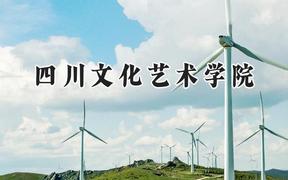 2024四川文化艺术学院录取分数线：宁夏最低241分