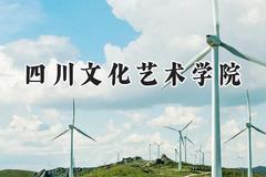 2024四川文化艺术学院录取分数线：宁夏最低241分