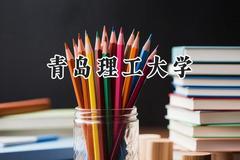 2024青岛理工大学录取分数线：山西最低511分