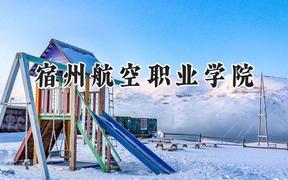 宿州航空职业学院2024在山西录取分数线是多少？最低233分/最高283分