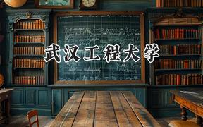 2024武汉工程大学录取分数线：新疆最低391分
