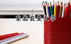 东北农业大学2024在内蒙古录取分数线是多少？最低499分/最高592分