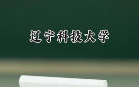 辽宁科技大学2024在天津录取分数线是多少？最低507分/最高549分