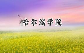 哈尔滨学院2024在河北录取分数线是多少？最低494分/最高556分