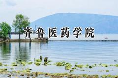 2024齐鲁医药学院录取分数线：天津最低489分