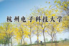 杭州电子科技大学2024在贵州录取分数线是多少？最低539分/最高614分