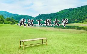 2024武漢工程大學錄取分數(shù)線：青海最低436分
