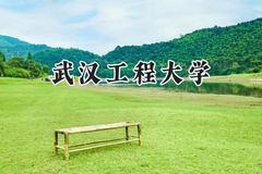 2024武汉工程大学录取分数线：青海最低436分