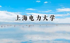 2024上海电力大学录取分数线：宁夏最低515分