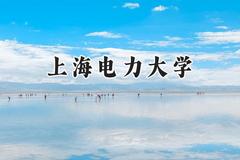 2024上海电力大学录取分数线：宁夏最低515分