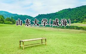 山东大学(威海)2024在江苏录取分数线是多少？最低613分/最高643分