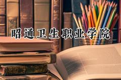 2024昭通卫生职业学院录取分数线：宁夏最低317分