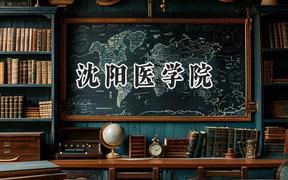2024沈阳医学院录取分数线：宁夏最低433分