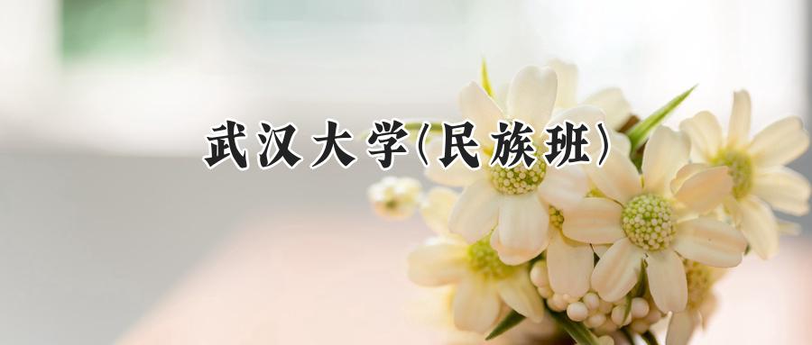 武汉大学(民族班)