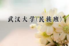 2024武汉大学(民族班)录取分数线：宁夏最低507分
