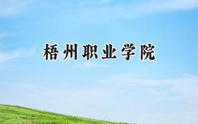 2024梧州职业学院录取分数线：山西最低204分