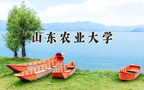 山东农业大学2024在贵州录取分数线是多少？最低466分/最高528分