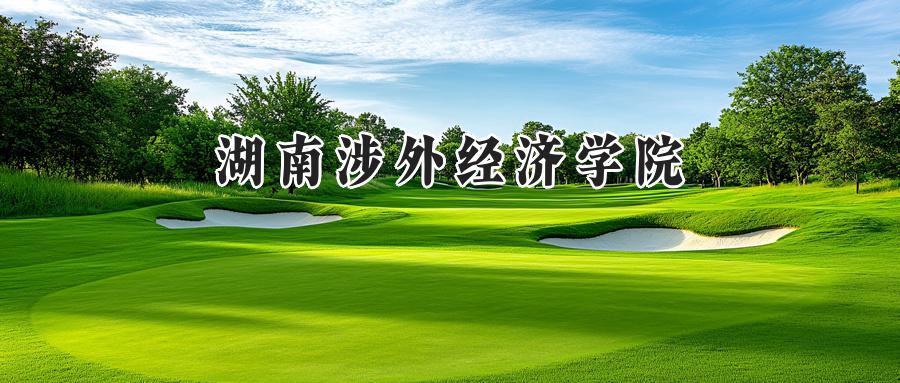 湖南涉外经济学院