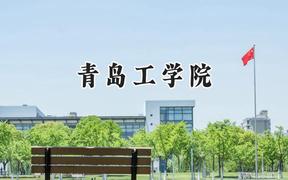 青岛工学院2024在江苏录取分数线是多少？最低462分/最高492分