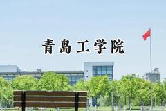 青岛工学院2024在江苏录取分数线是多少？最低462分/最高492分