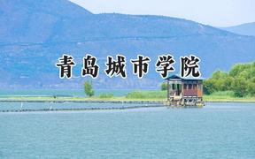 青岛城市学院2024在浙江录取分数线是多少？最低467分/最高564分