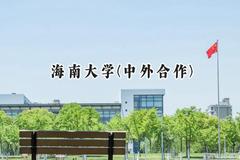 海南大学(中外合作)2024在重庆录取分数线是多少？最低496分/最高558分