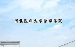 2024河北医科大学临床学院录取分数线：天津最低504分