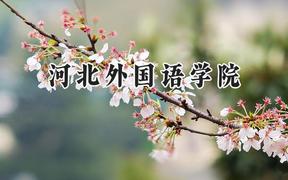 河北外国语学院2024在浙江录取分数线是多少？最低521分/最高528分