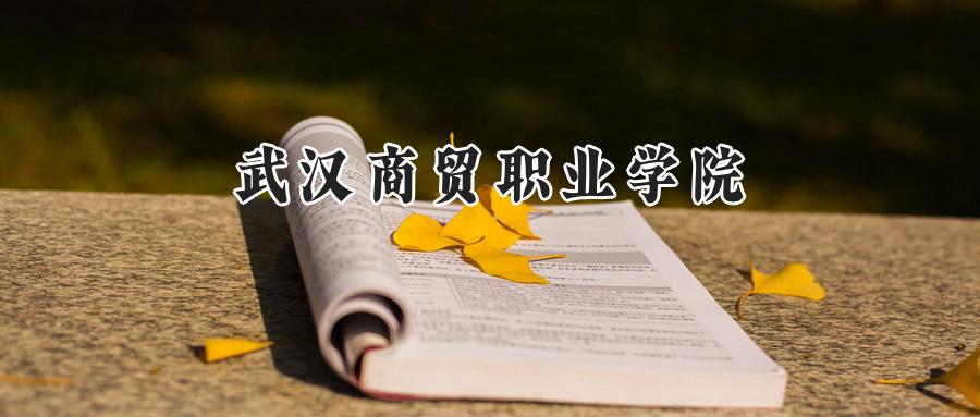 武汉商贸职业学院
