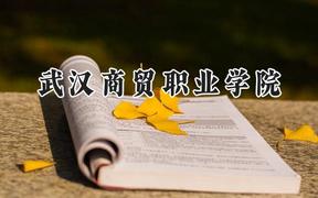 2024武汉商贸职业学院录取分数线：山西最低269分