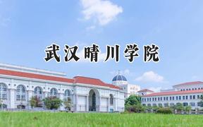 武汉晴川学院2024在浙江录取分数线是多少？最低412分/最高553分